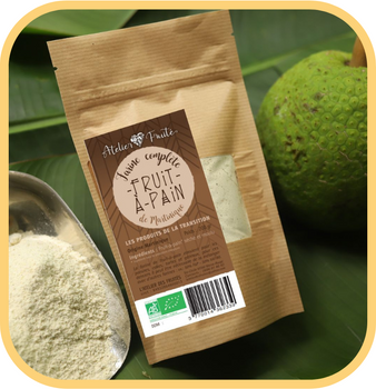 Farine de fruit-à-pain complète (bio)