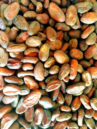 Fèves de cacao nature