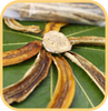 Bananes cavendish/banane dessert (bio)